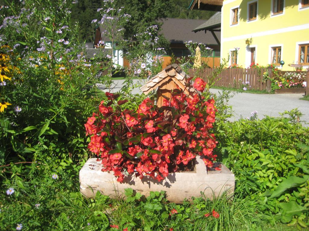 Biobauernhof Hauserbauer Hintersee Exterior foto