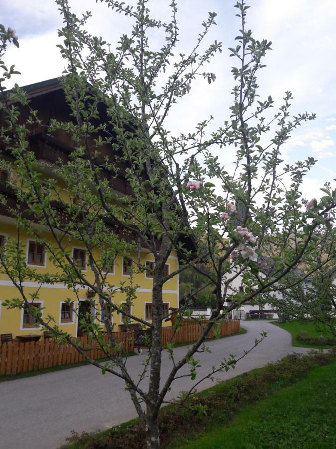 Biobauernhof Hauserbauer Hintersee Exterior foto