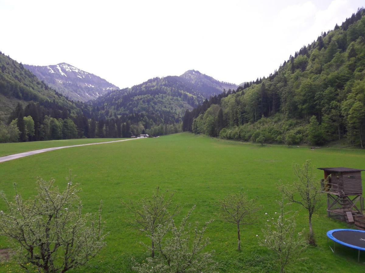 Biobauernhof Hauserbauer Hintersee Exterior foto