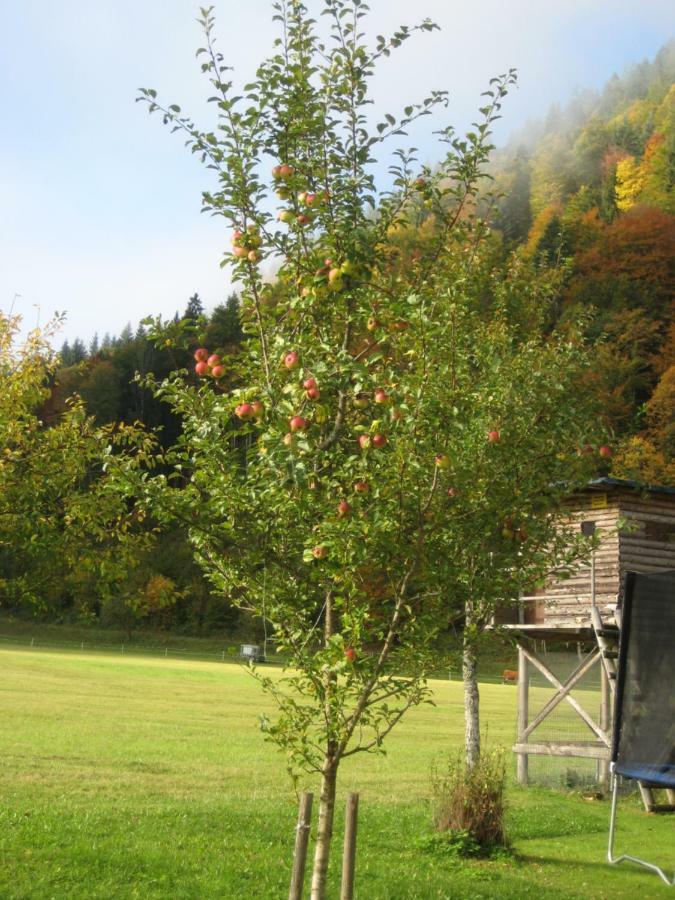 Biobauernhof Hauserbauer Hintersee Exterior foto