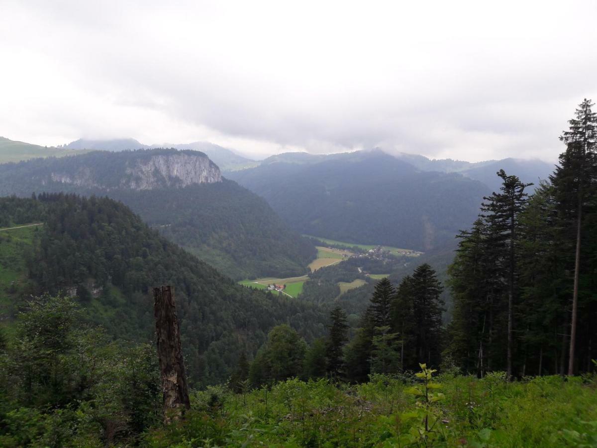 Biobauernhof Hauserbauer Hintersee Exterior foto